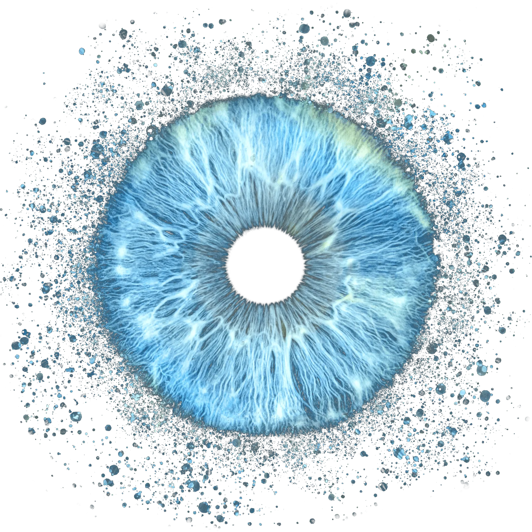 Your Eye, a Masterpiece
